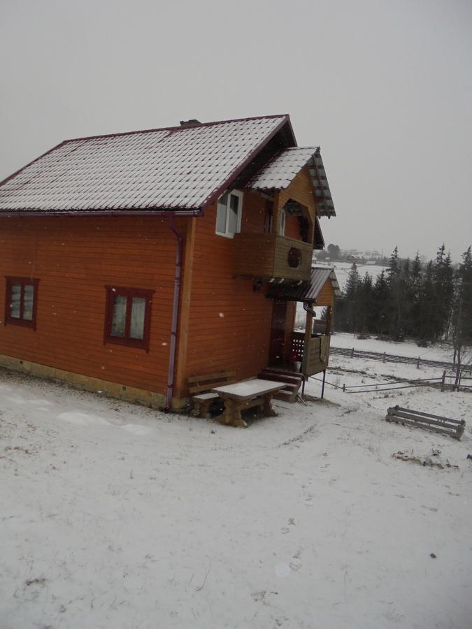 Lisovychok Vila Vorokhta Exterior foto