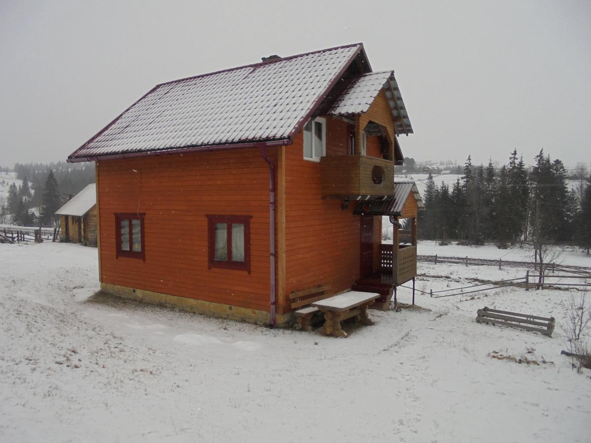 Lisovychok Vila Vorokhta Exterior foto