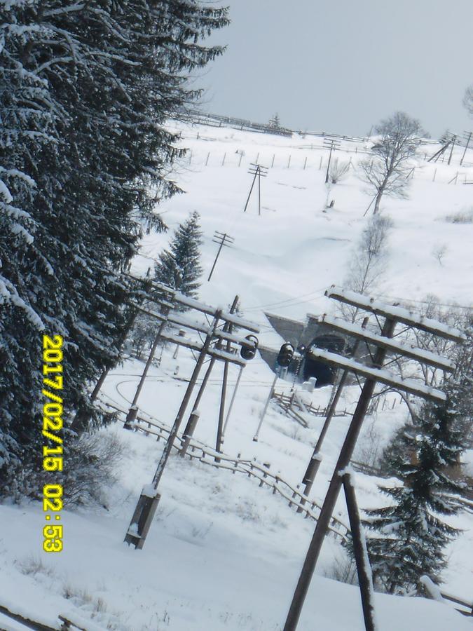 Lisovychok Vila Vorokhta Exterior foto