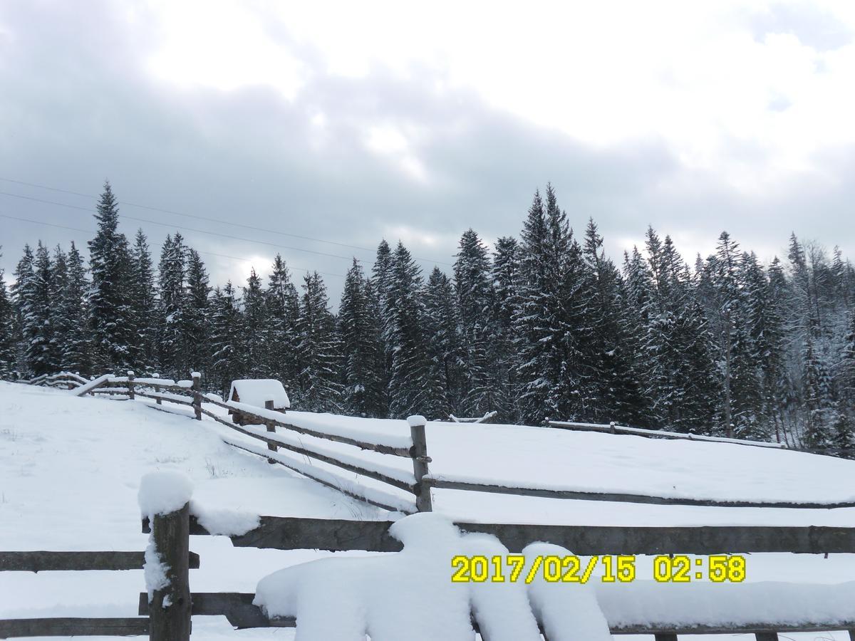 Lisovychok Vila Vorokhta Exterior foto