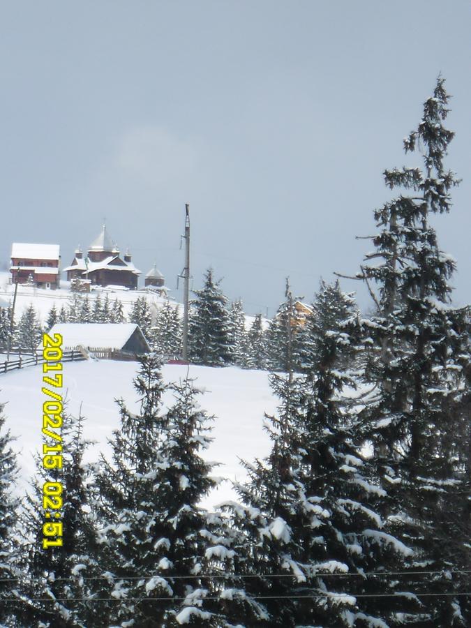 Lisovychok Vila Vorokhta Exterior foto
