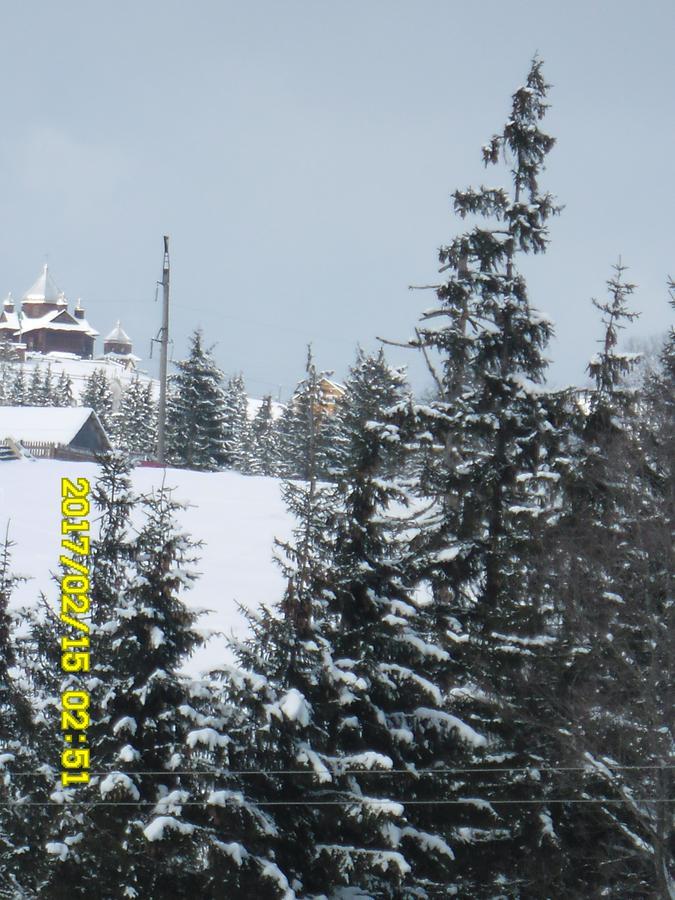 Lisovychok Vila Vorokhta Exterior foto