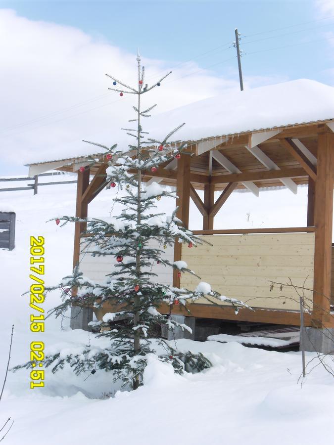 Lisovychok Vila Vorokhta Exterior foto